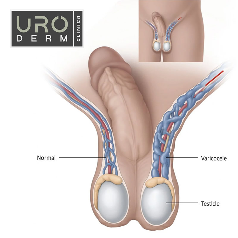 Clínica Uroderm, Urologia e Dermatologia em Montes Claros, MG